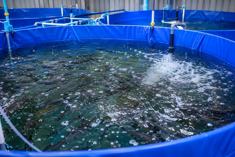 /uploads/image/2026/06/24/why-pvc-coated-tarpaulin-is-the-best-choice-for-biofloc-aquaculture-tanks.png why-pvc-coated-tarpaulin-is-the-best-choice-for-biofloc-aquaculture-tanks.png